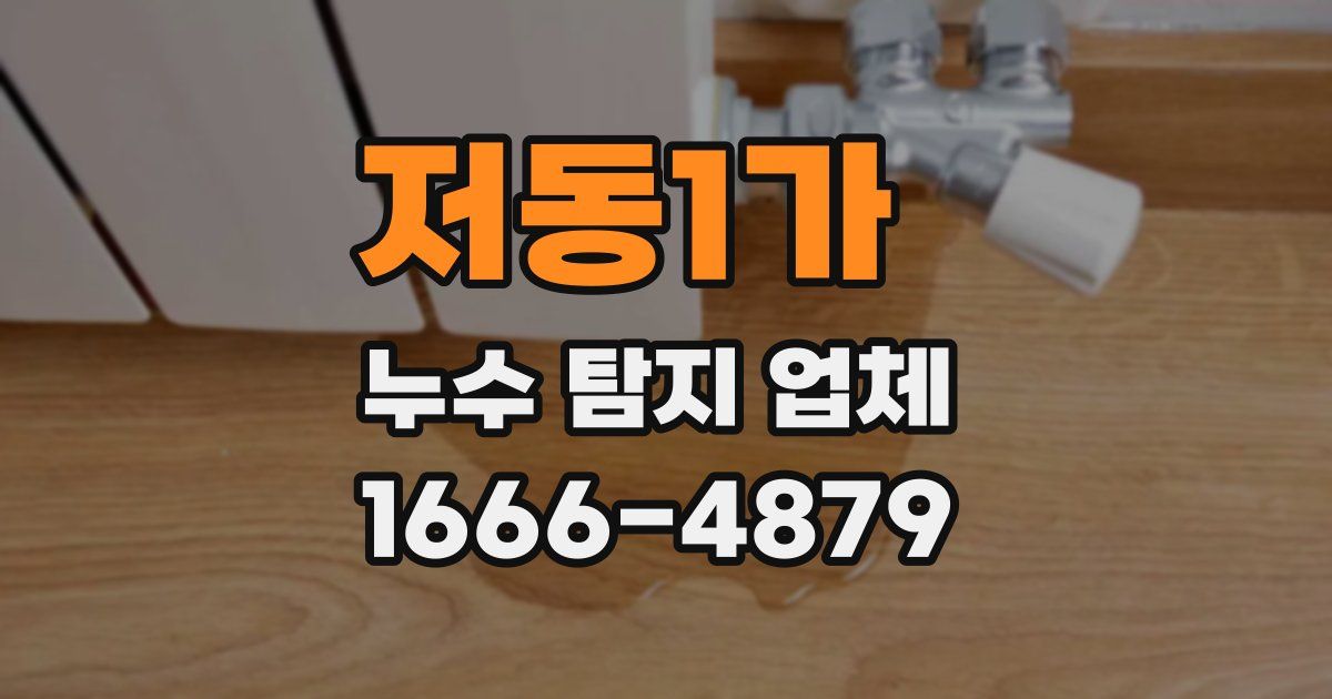 저동1가 누수 탐지 업체
