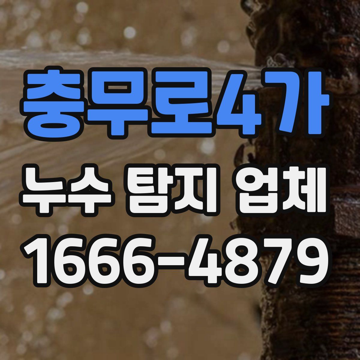 충무로4가 누수 탐지 업체