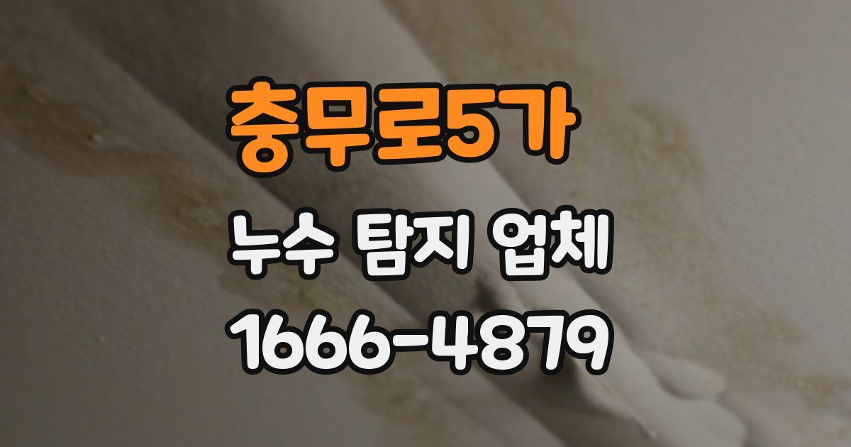 충무로5가 누수 탐지 업체
