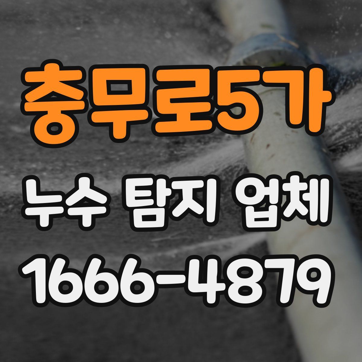 충무로5가 누수 탐지 업체