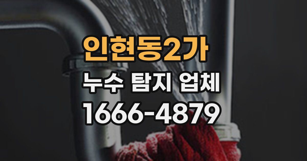 인현동2가 누수 탐지 업체