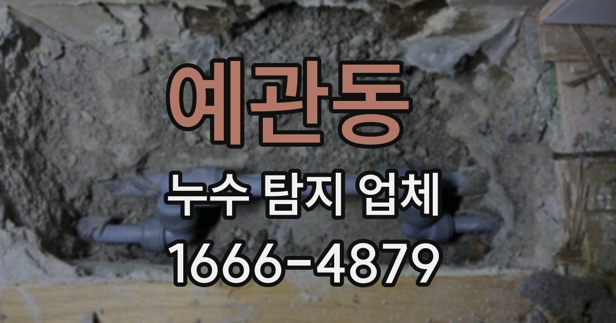예관동 누수 탐지 업체