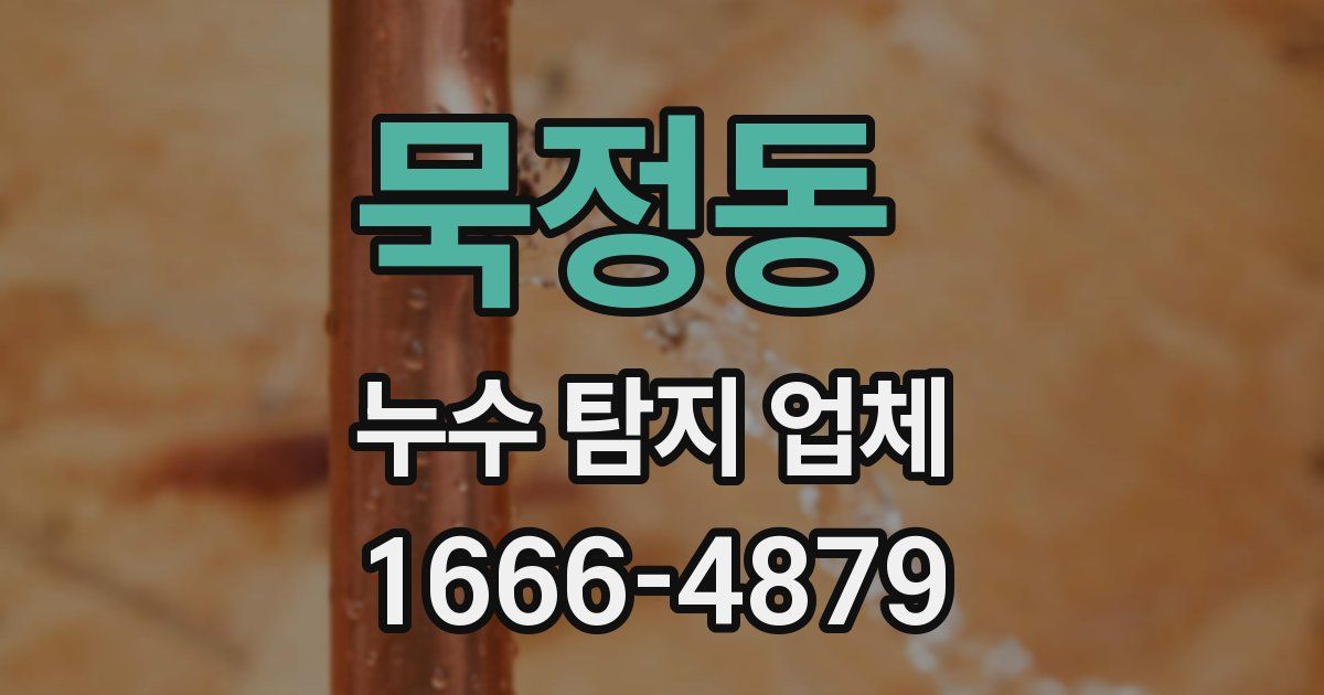 묵정동 누수 탐지 업체