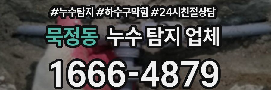 묵정동 누수 탐지 업체