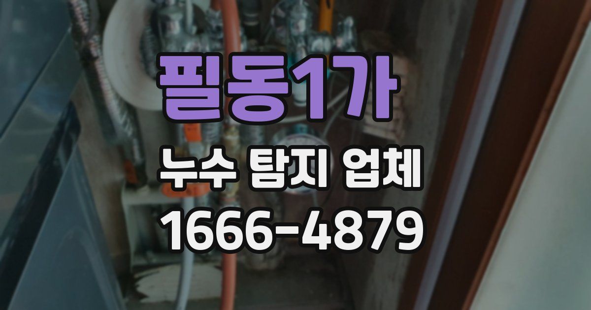 필동1가 누수 탐지 업체