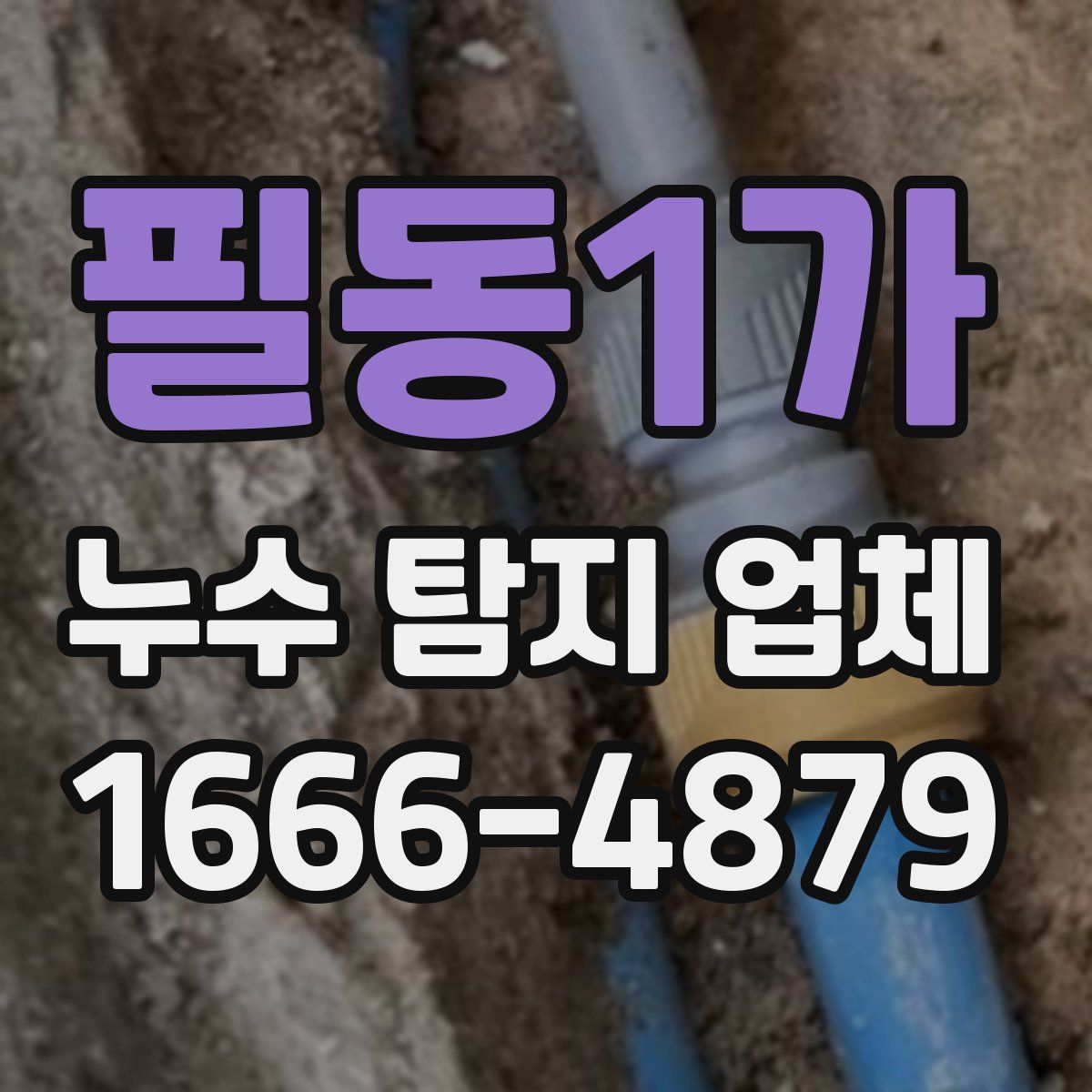 필동1가 누수 탐지 업체