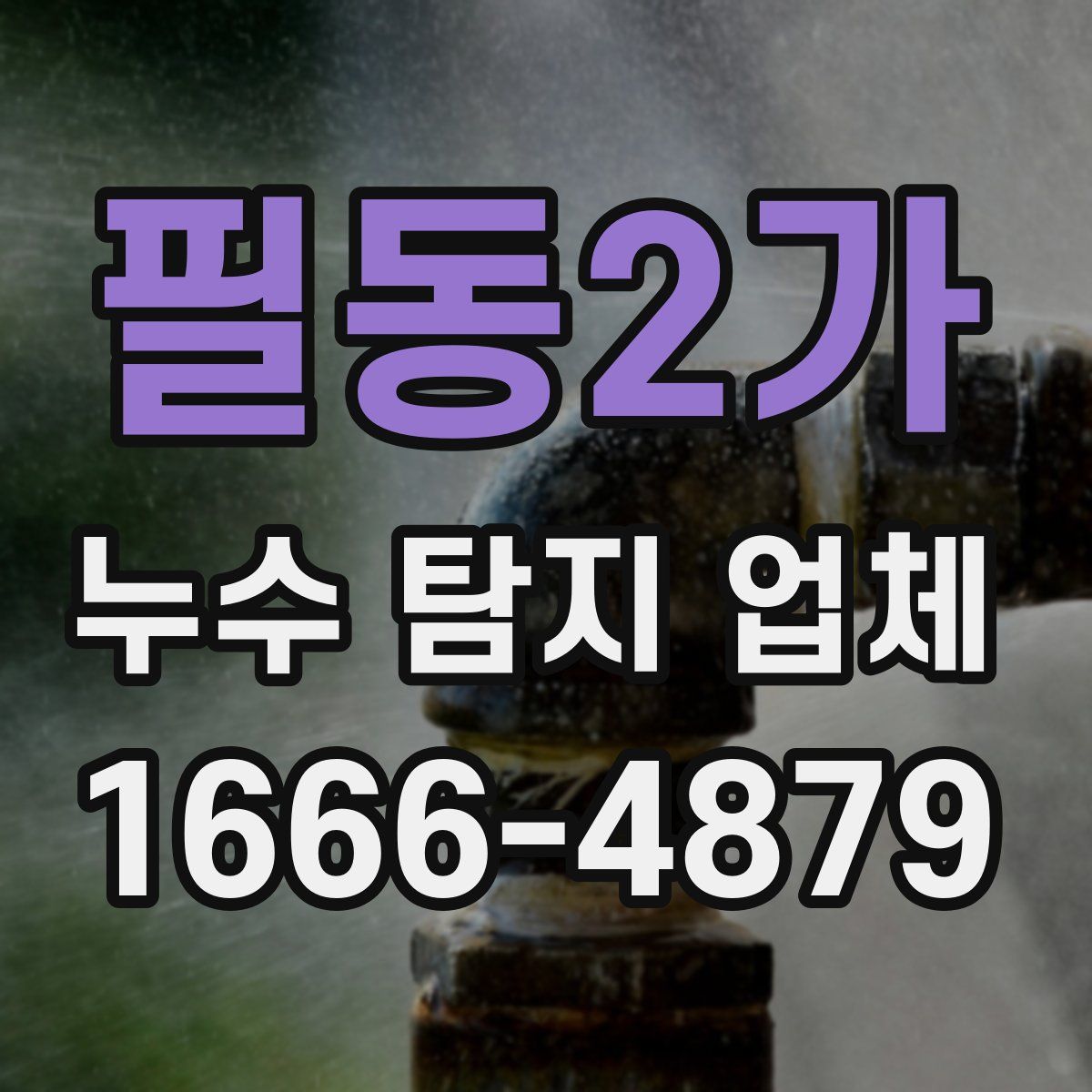 필동2가 누수 탐지 업체