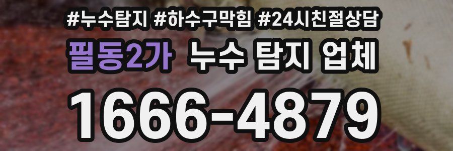 필동2가 누수 탐지 업체