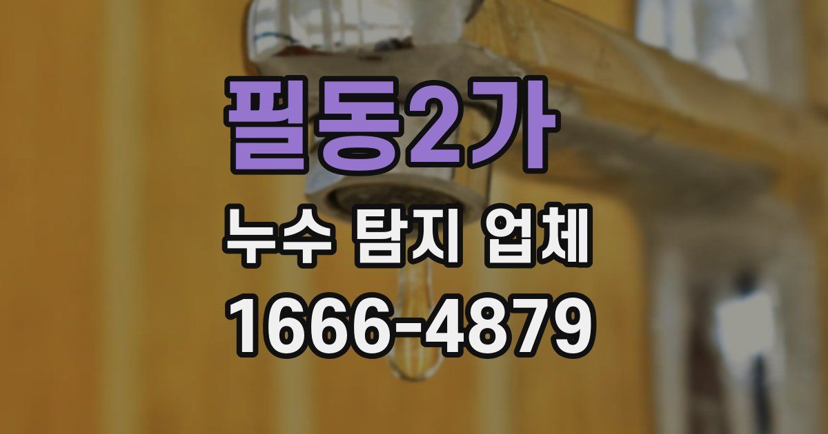 필동2가 누수 탐지 업체