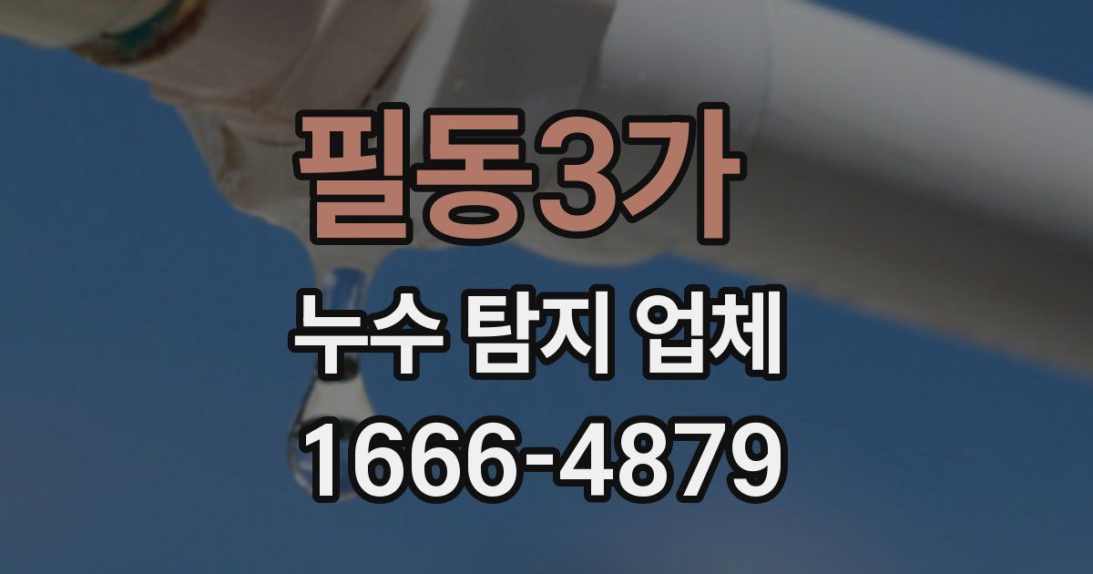 필동3가 누수 탐지 업체