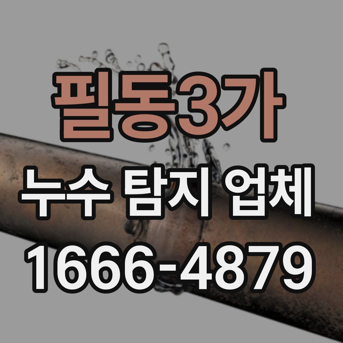 필동3가 누수 탐지 업체
