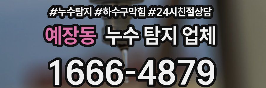 예장동 누수 탐지 업체