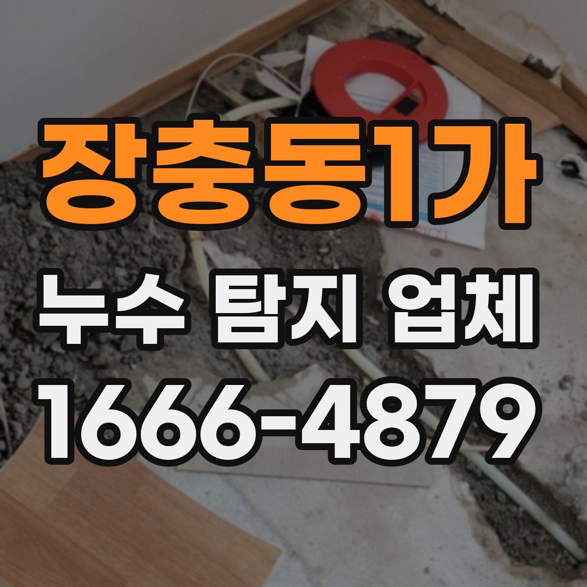 장충동1가 누수 탐지 업체