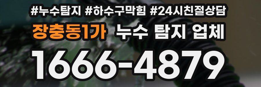 장충동1가 누수 탐지 업체