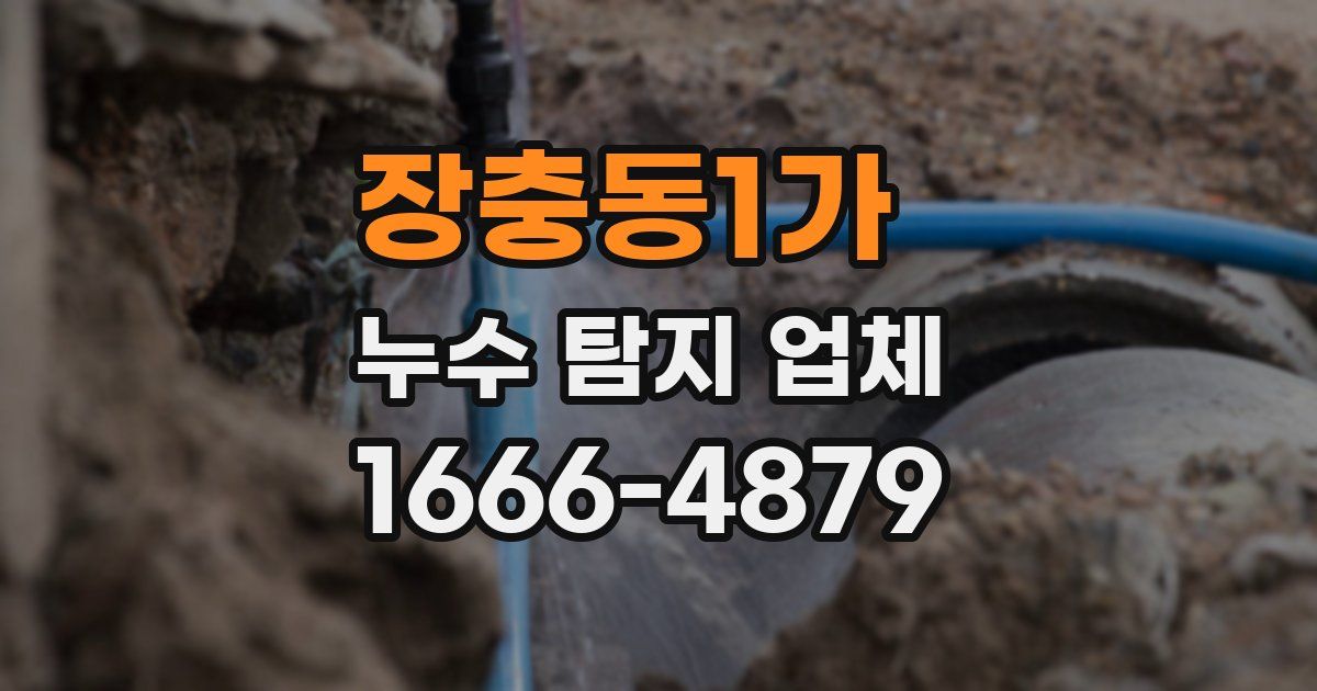 장충동1가 누수 탐지 업체