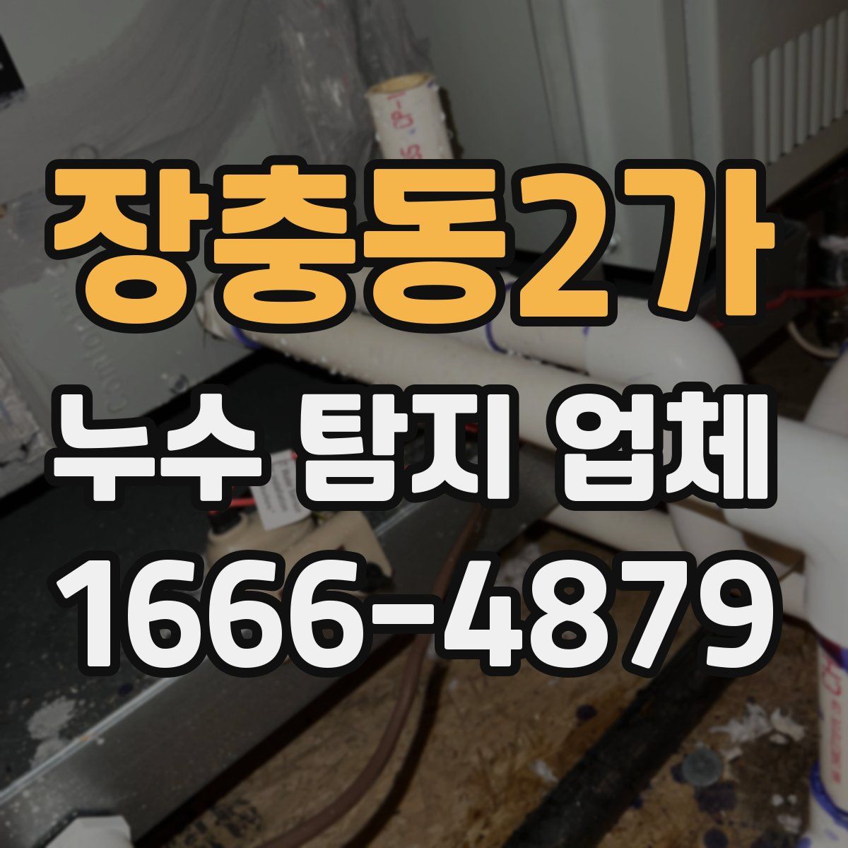 장충동2가 누수 탐지 업체