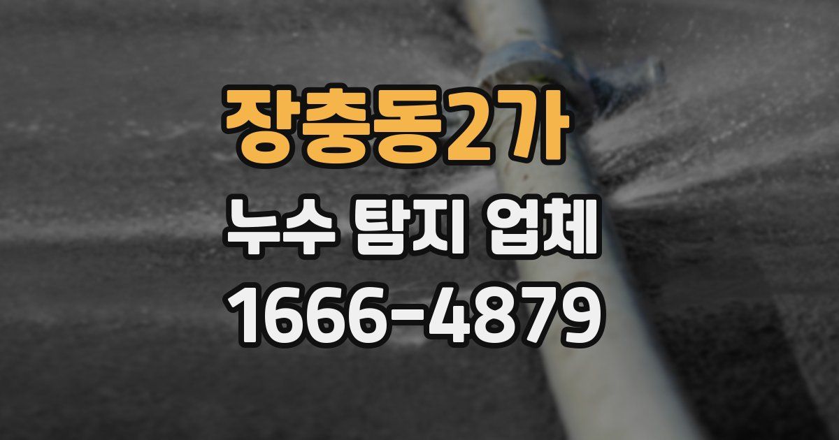 장충동2가 누수 탐지 업체