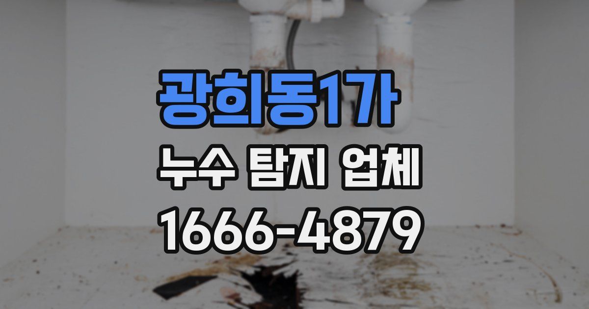 광희동1가 누수 탐지 업체