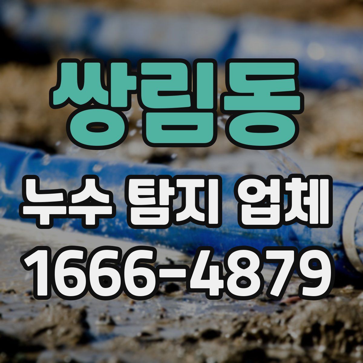 쌍림동 누수 탐지 업체