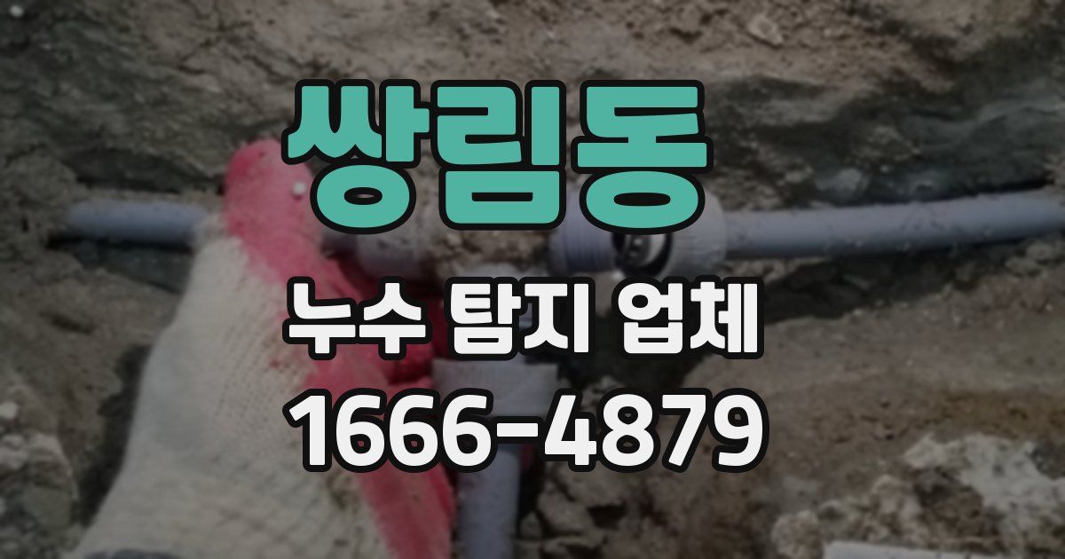 쌍림동 누수 탐지 업체