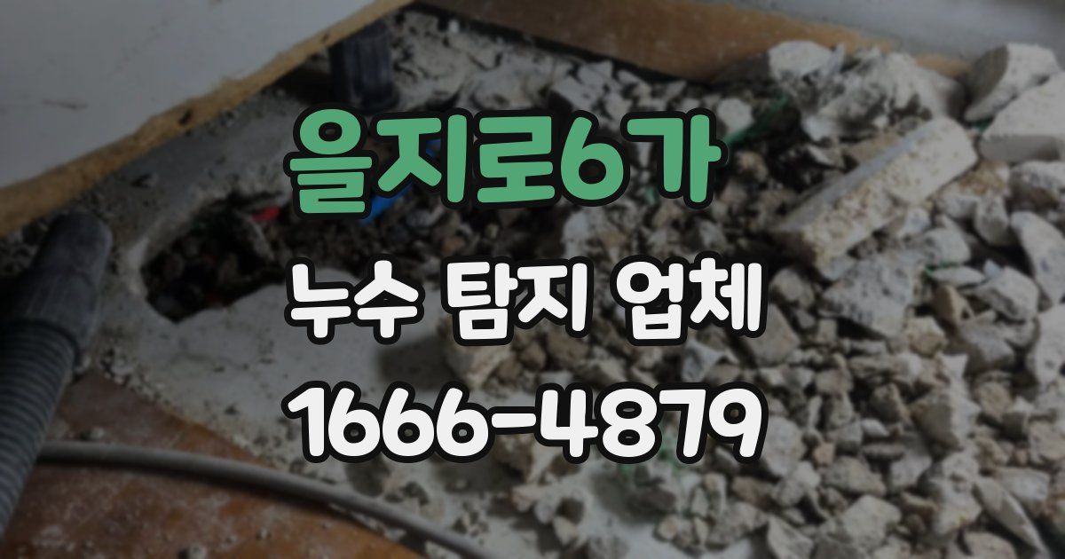 을지로6가 누수 탐지 업체