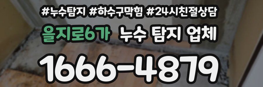 을지로6가 누수 탐지 업체