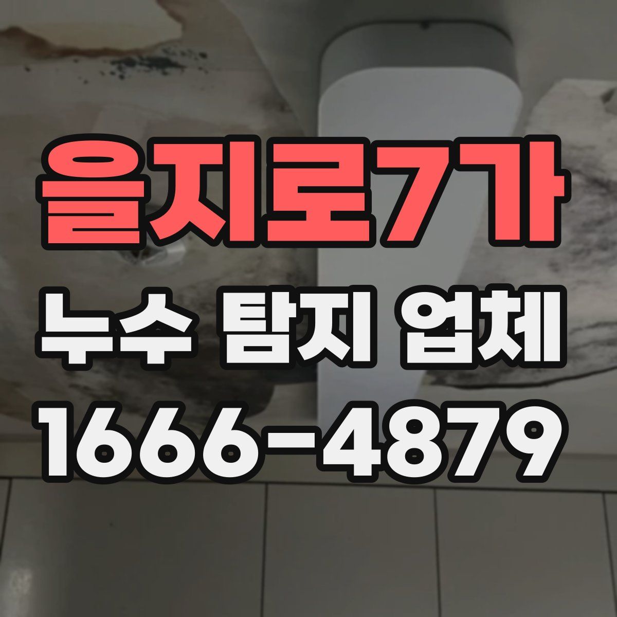 을지로7가 누수 탐지 업체