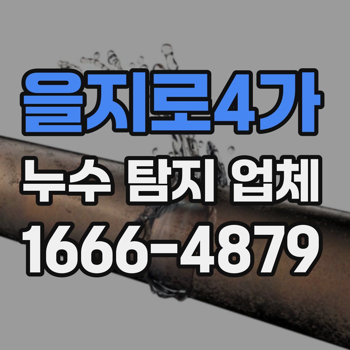 을지로4가 누수 탐지 업체
