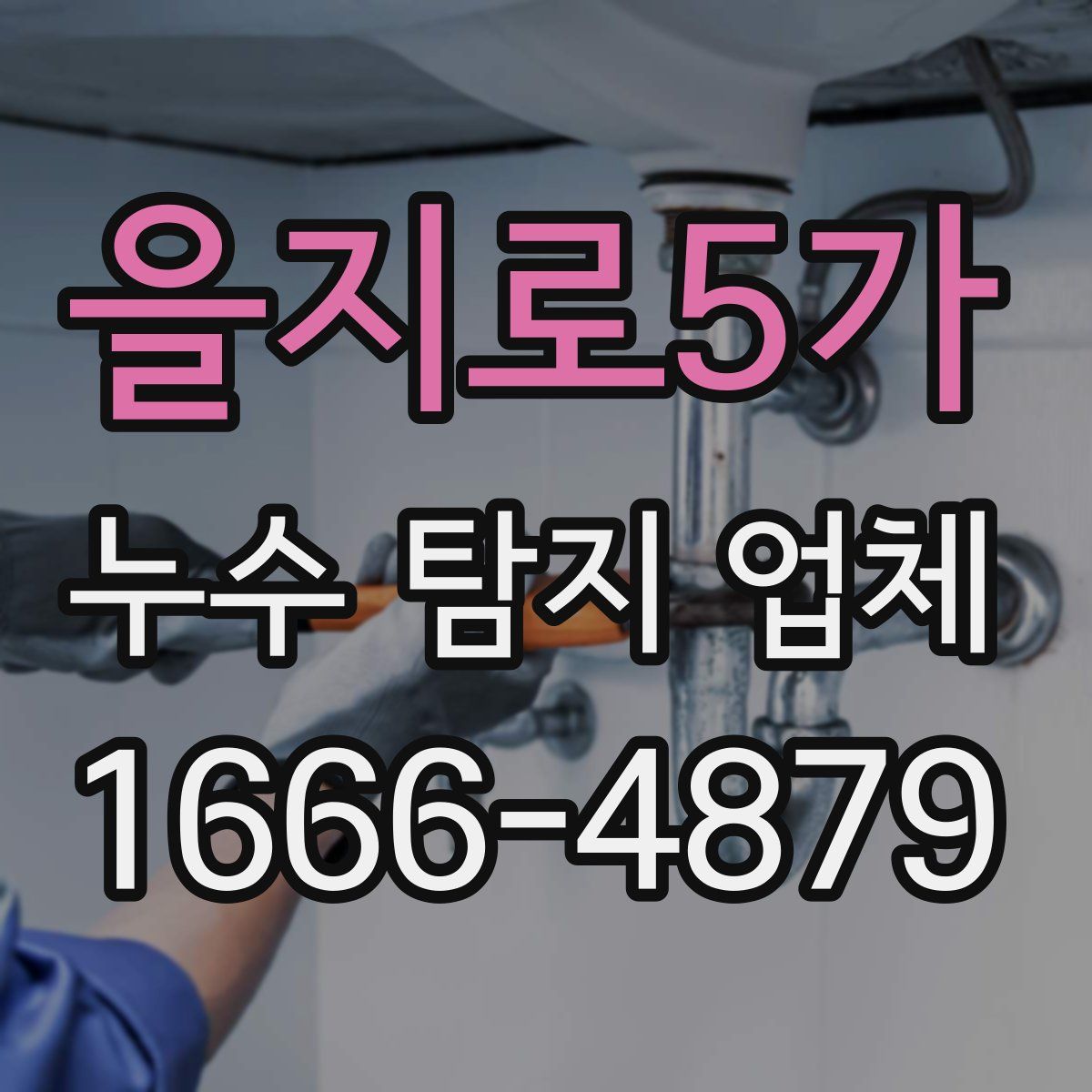 을지로5가 누수 탐지 업체