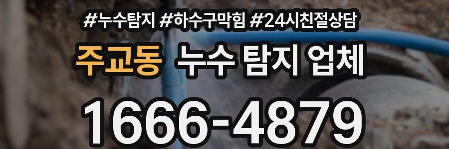 주교동 누수 탐지 업체