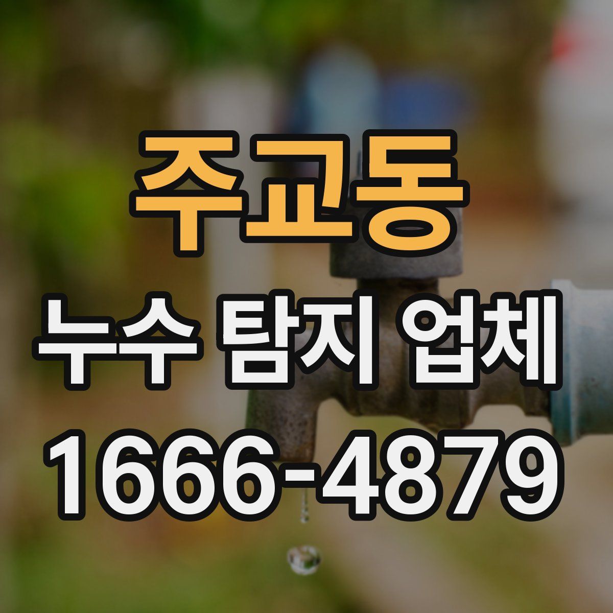 주교동 누수 탐지 업체