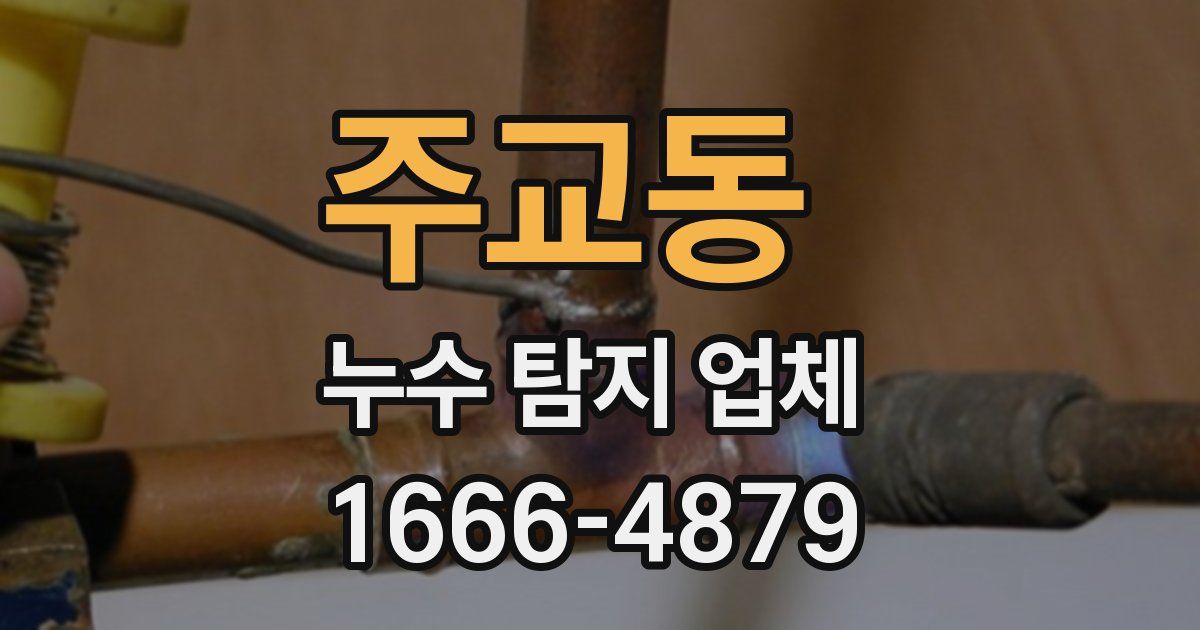 주교동 누수 탐지 업체