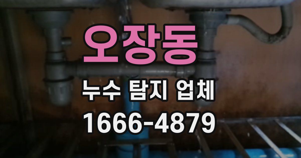 오장동 누수 탐지 업체