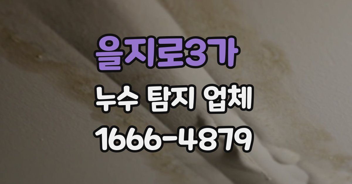 을지로3가 누수 탐지 업체