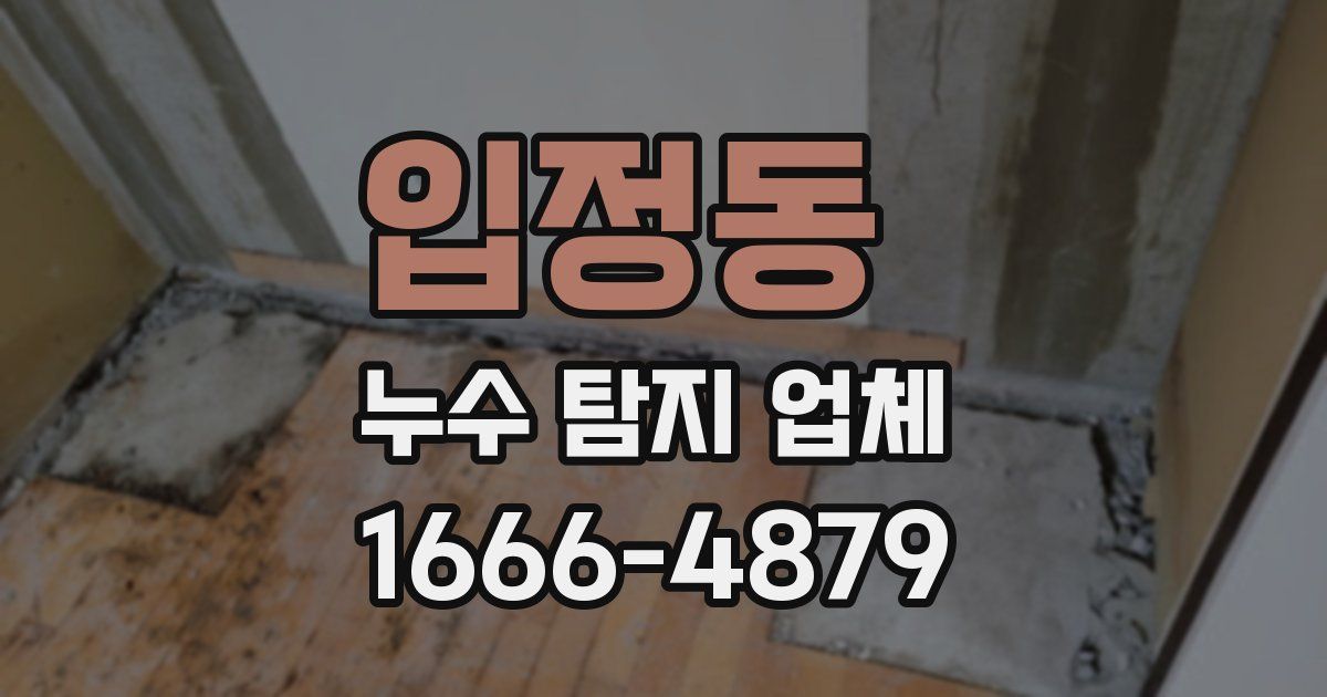 입정동 누수 탐지 업체