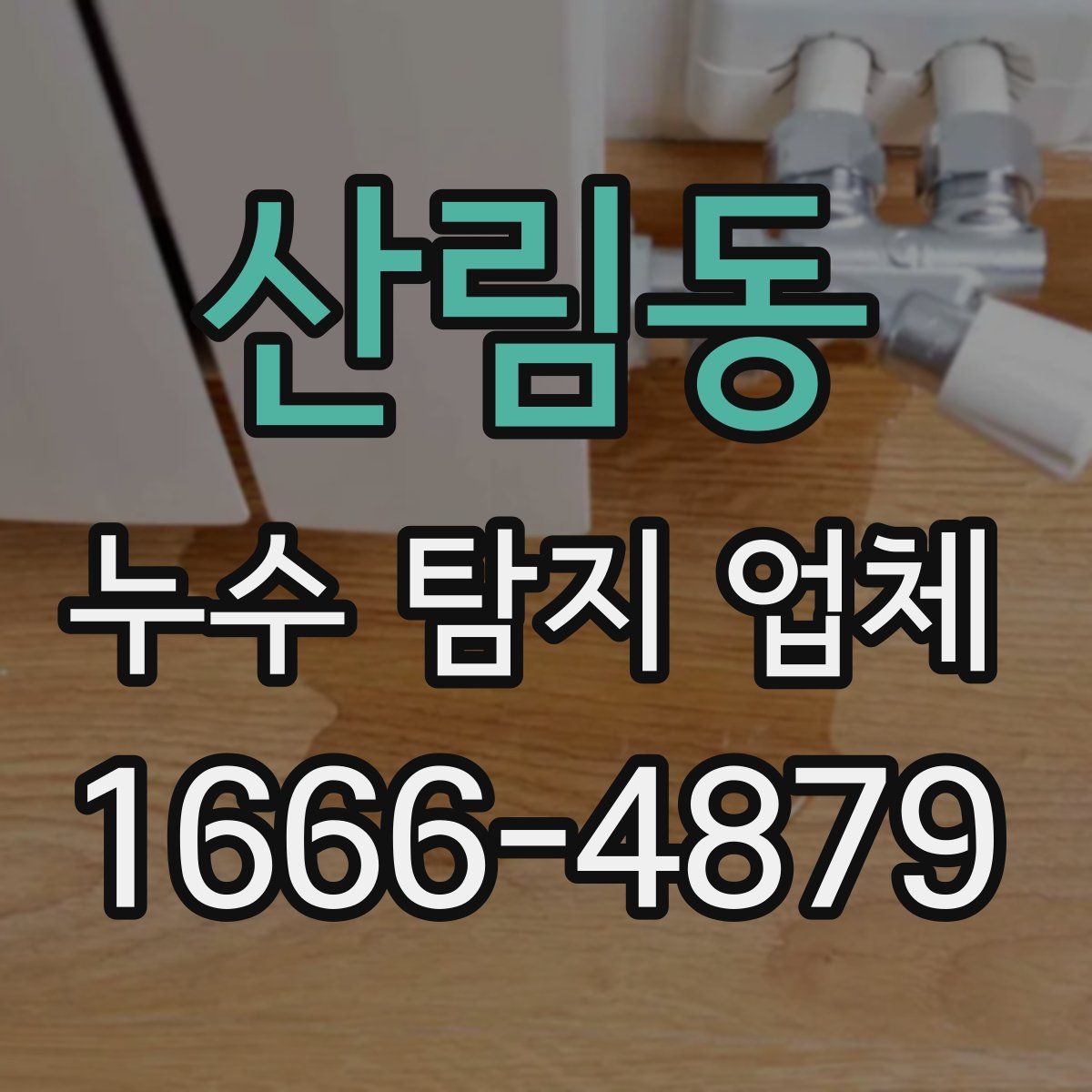 산림동 누수 탐지 업체