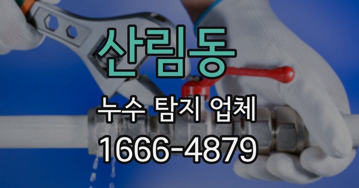 산림동 누수 탐지 업체