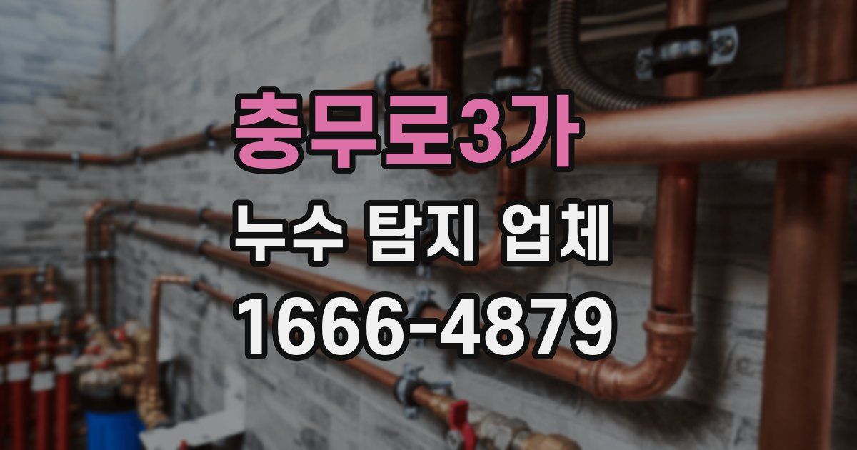 충무로3가 누수 탐지 업체