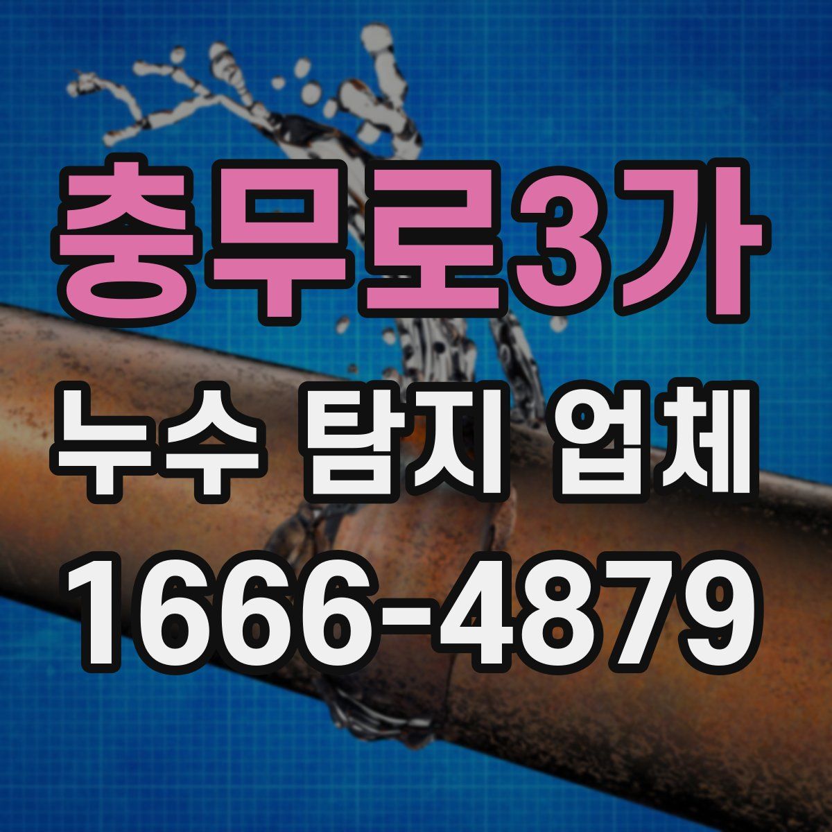 충무로3가 누수 탐지 업체