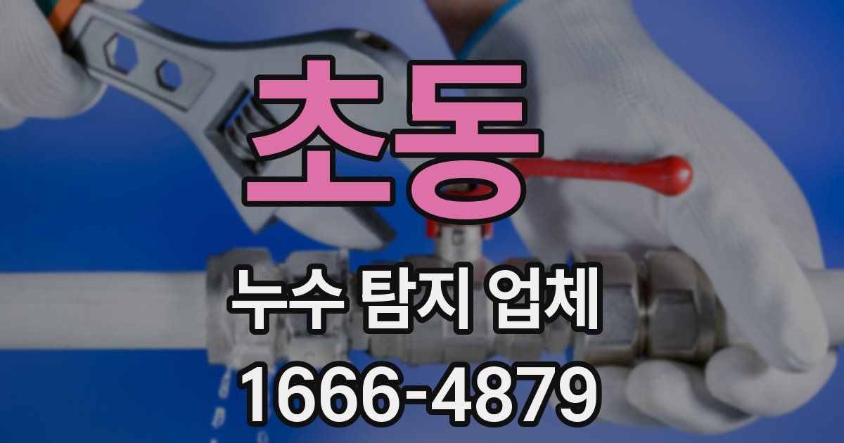 초동 누수 탐지 업체