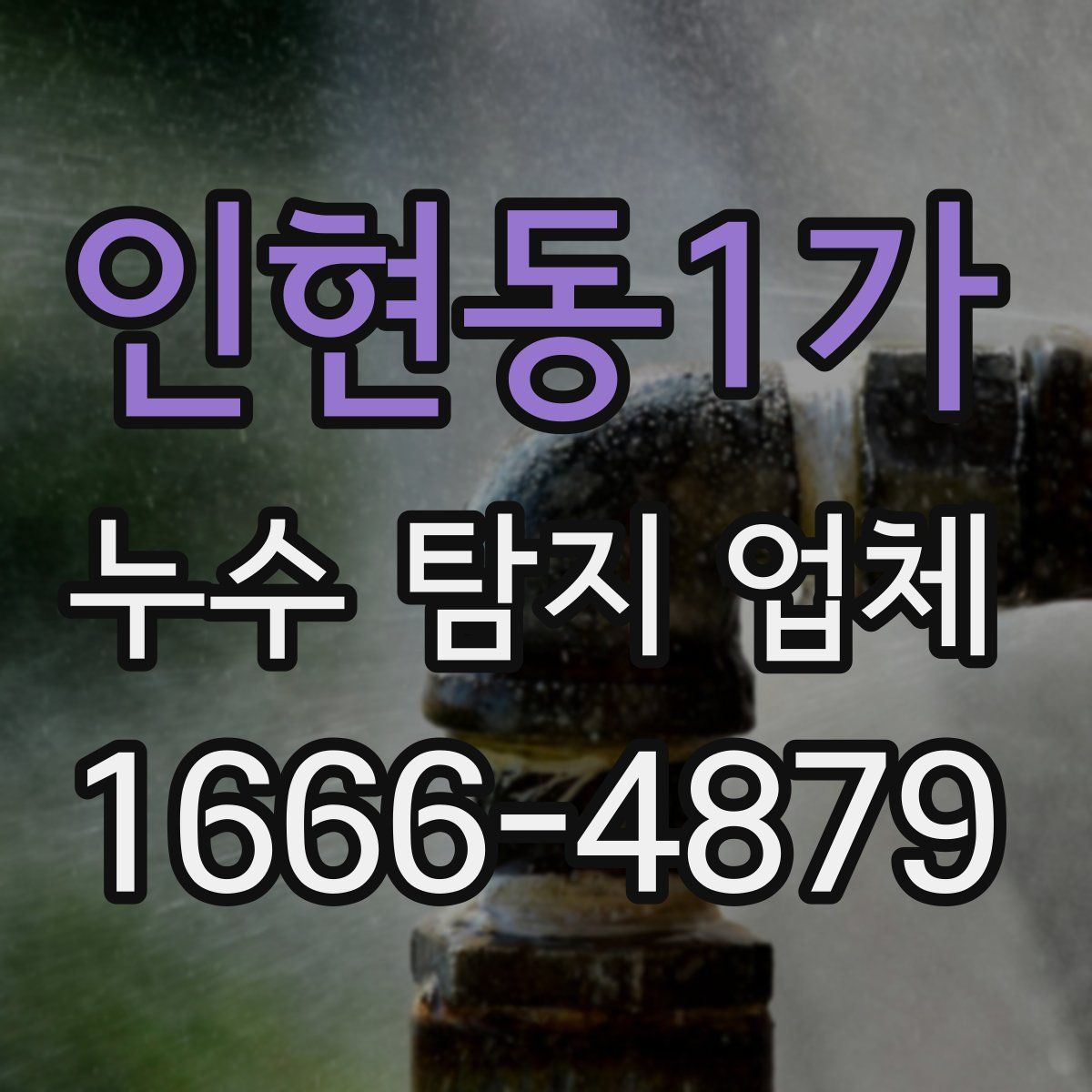 인현동1가 누수 탐지 업체