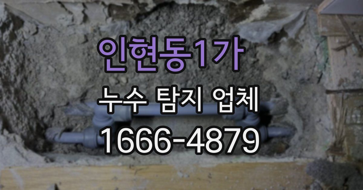 인현동1가 누수 탐지 업체