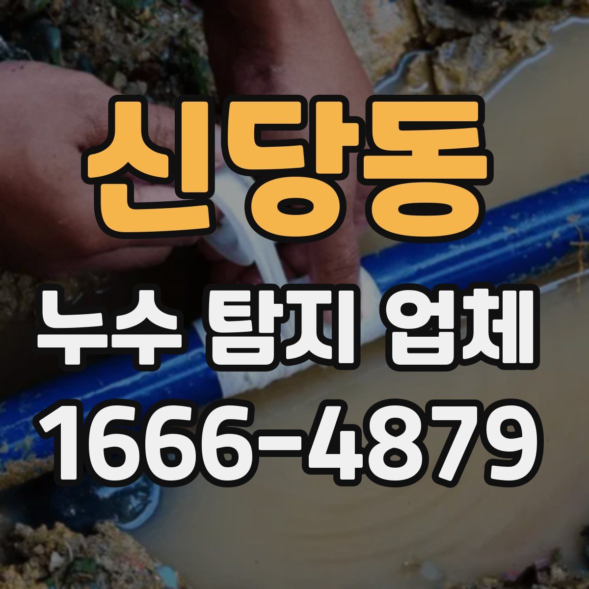 신당동 누수 탐지 업체