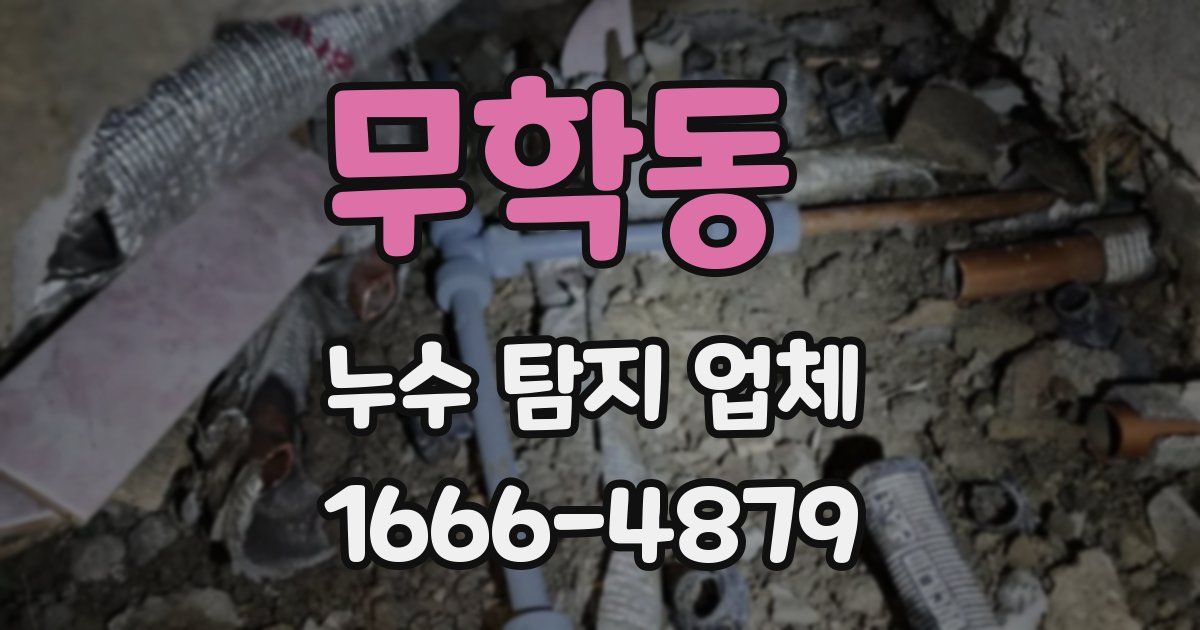 무학동 누수 탐지 업체