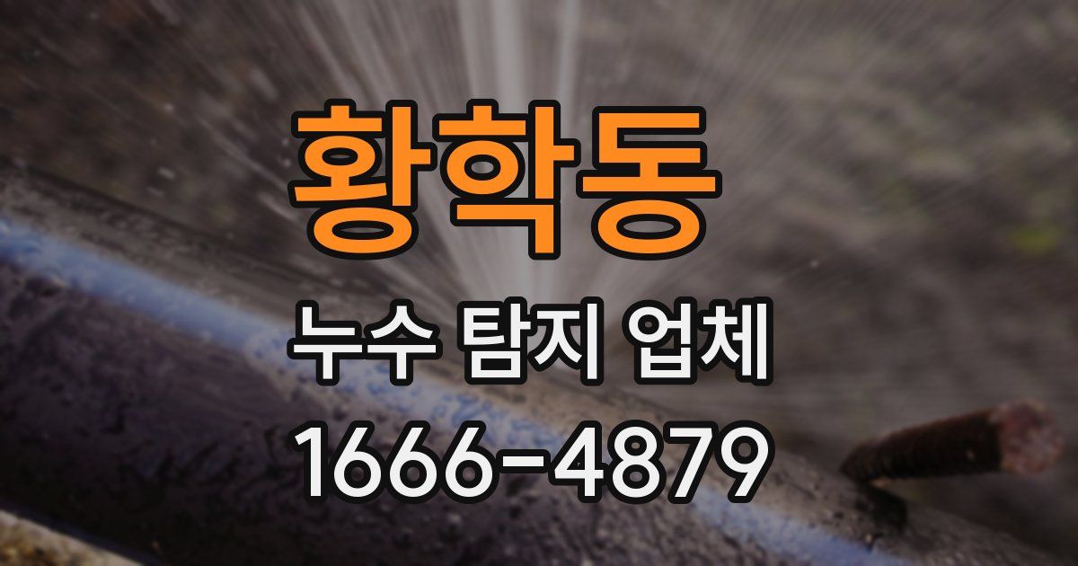 황학동 누수 탐지 업체