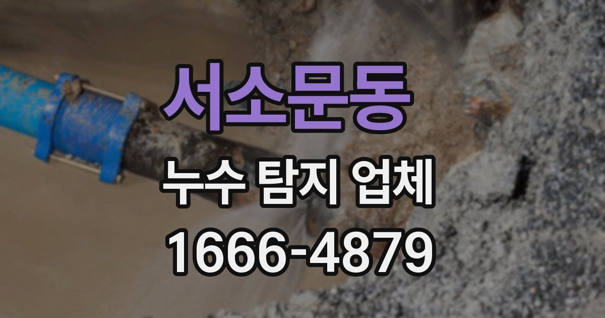 서소문동 누수 탐지 업체