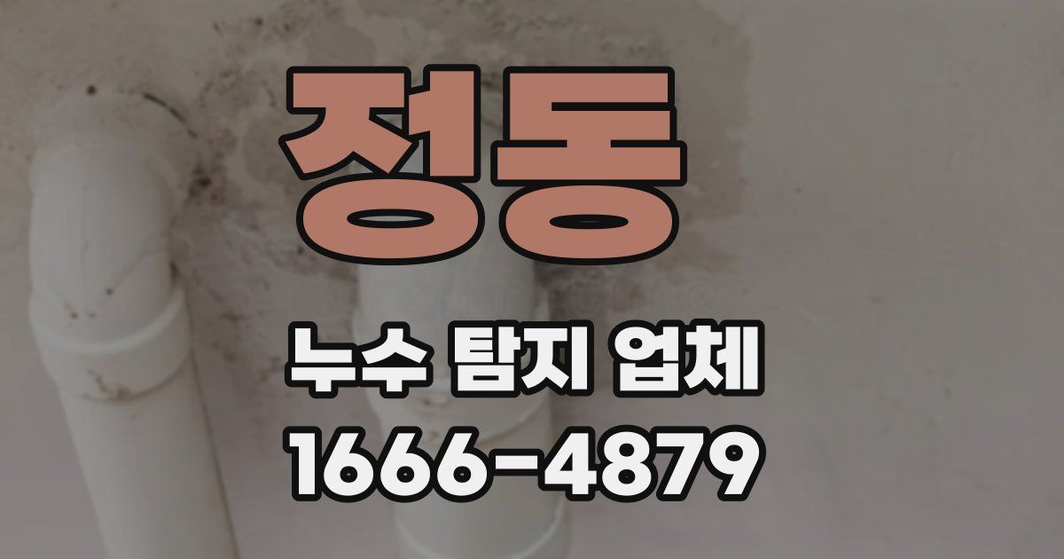 정동 누수 탐지 업체