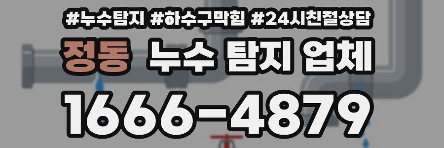 정동 누수 탐지 업체