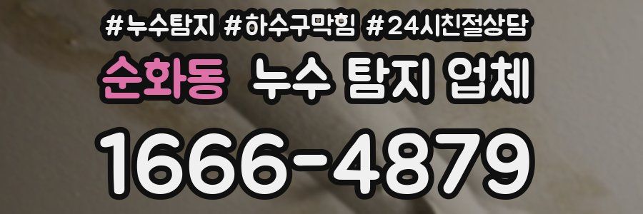 순화동 누수 탐지 업체