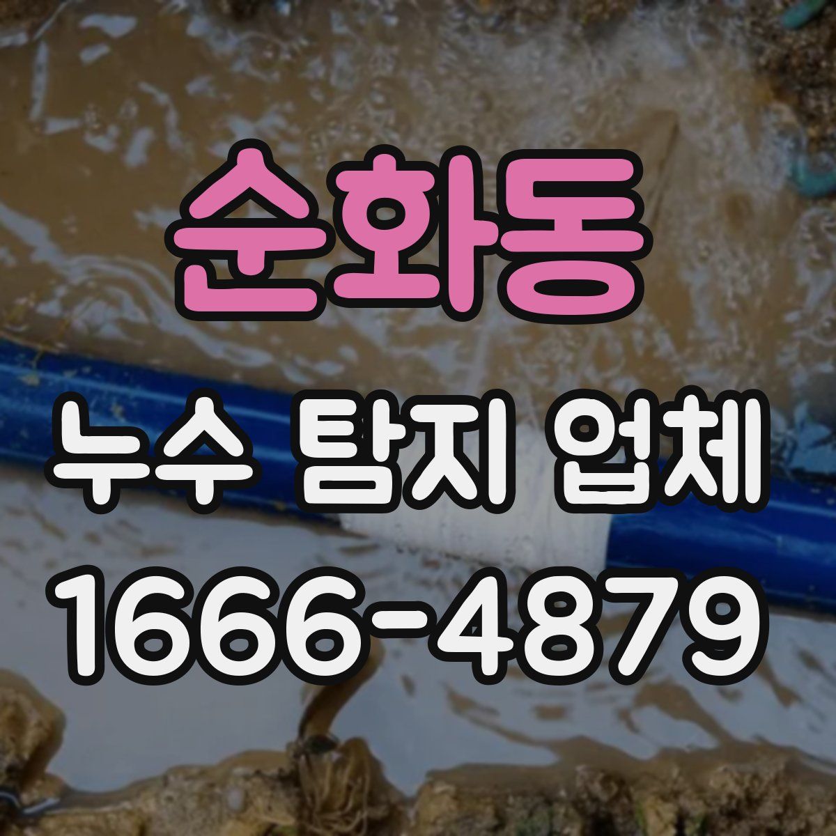 순화동 누수 탐지 업체